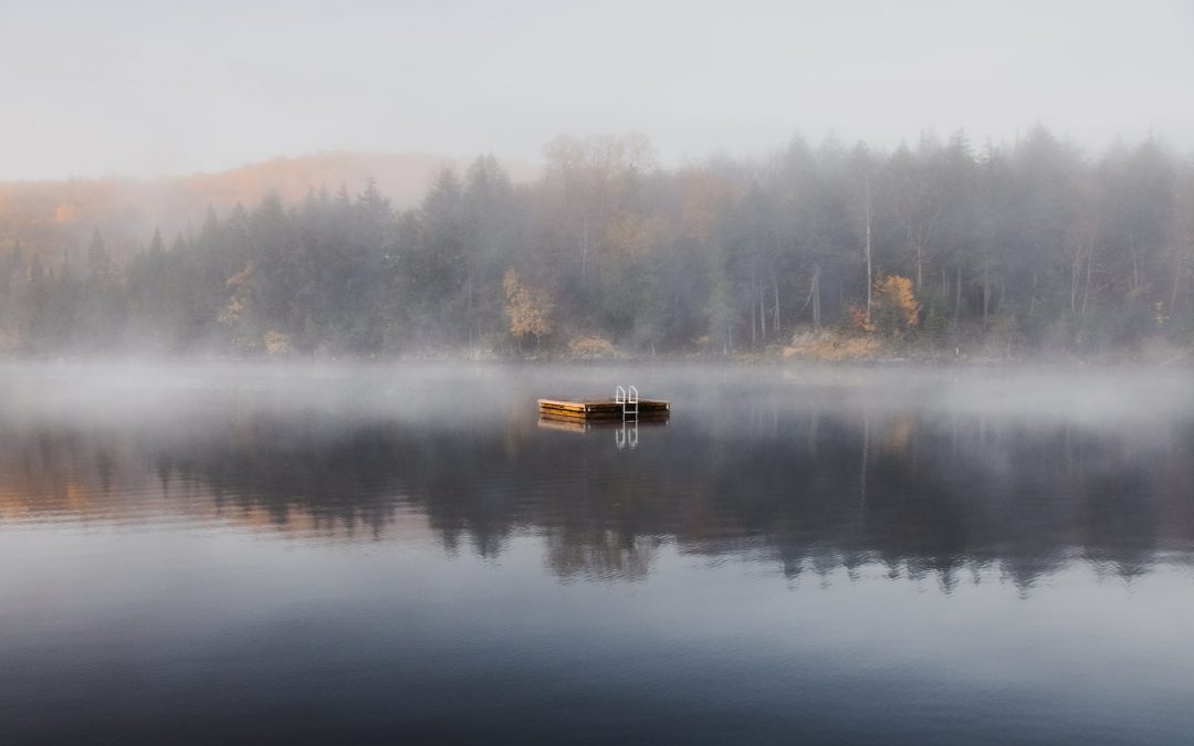 Le brouillard sur le lac