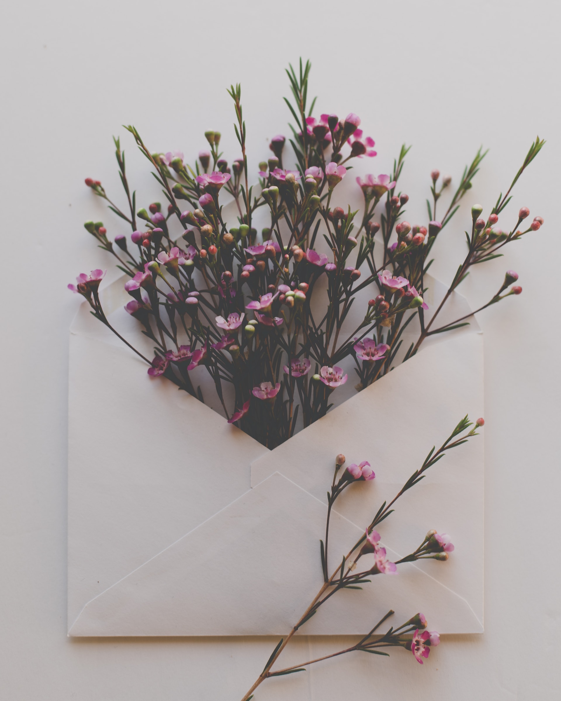 sixteen-miles-out-TiIvuqNnT4Y-unsplash