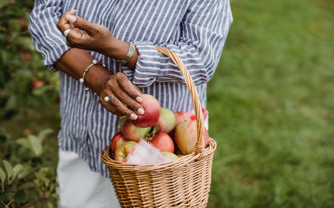 Le fruit véritable